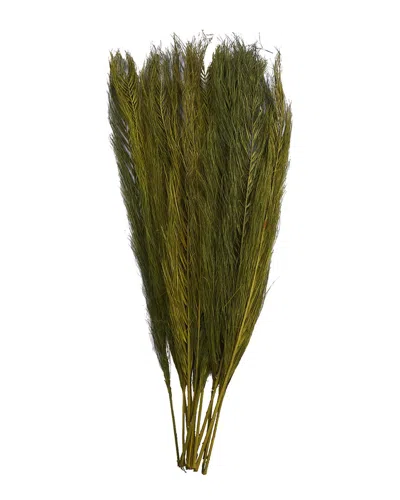 Peyton Lane Leaves Green Dried Plant Natural Foliage