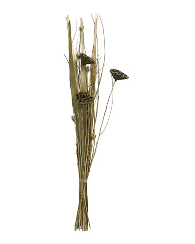 Peyton Lane Lotus Flower Green Dried Plant Handmade Tall Bouquet Natural Foliage