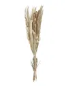 Peyton Lane Palm Leaf Beige Dried Plant Handmade Tall Assorted Bouquet Natural Foliage In Beige