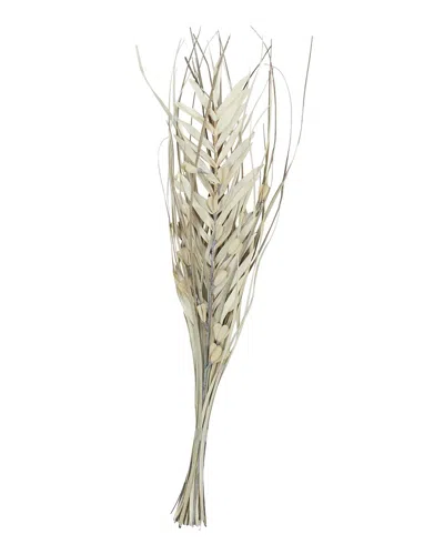 Peyton Lane Palm Leaf Beige Dried Plant Handmade Tall Floral Grass Bouquet Natural Foliage In Brown