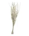 Peyton Lane Palm Leaf Beige Dried Plant Handmade Tall Floral Grass Bouquet Natural Foliage In Beige