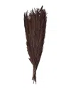 Peyton Lane Palm Leaf Dark Brown Dried Plant Natural Foliage In Brown
