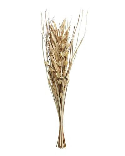 Peyton Lane Palm Leaf Light Brown Dried Plant Handmade Tall Floral Grass Bouquet Natural Foliage In Neutral