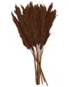 Peyton Lane Pampas Dried Plant Natural Foliage With Long Stems In Gold