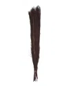 Peyton Lane Pampas Grass Brown Dried Plant Tall Natural Foliage In Brown
