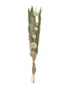 Peyton Lane Pampas Grass Green Dried Plant Handmade Tall Assorted Bouquet Natural Foliage In Green
