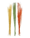 Peyton Lane Set Of 3 Pigeon Pea Multi Colored Dried Plant Natural Foliage