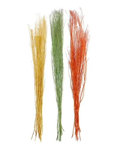 Peyton Lane Set Of 3 Pigeon Pea Multi Colored Dried Plant Natural Foliage