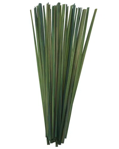 Peyton Lane Sticks Yellow Dried Plant Natural Foliage With Slender Stems