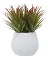 Peyton Lane Striped Stemmed Aloe Green Faux Foliage Artificial Plant With White Ceramic Pot In White