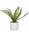 Peyton Lane Fern Green Faux Foliage Artificial Plant With White Ceramic Pot In Green
