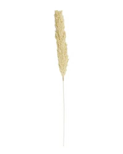 Peyton Lane Wheat Grass Brown Dried Plant Tall Natural Foliage In Gold