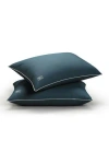 Pg Goods Pillow Guy Firm Density Side/back Sleeper, Down Alternative Pillow With Micronone Technology, And Re In Navy/teal With White Cord