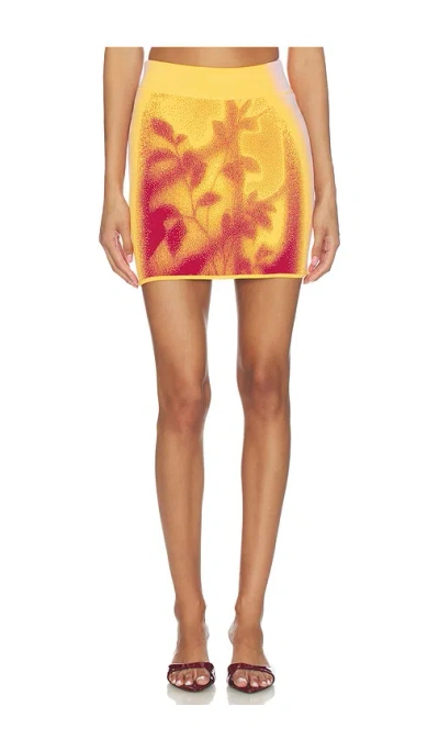 Ph5 Alani Window Print Mini Skirt In Multi