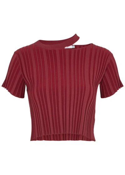 Ph5 Allison Ribbed Stretch-knit Top In Dark Red