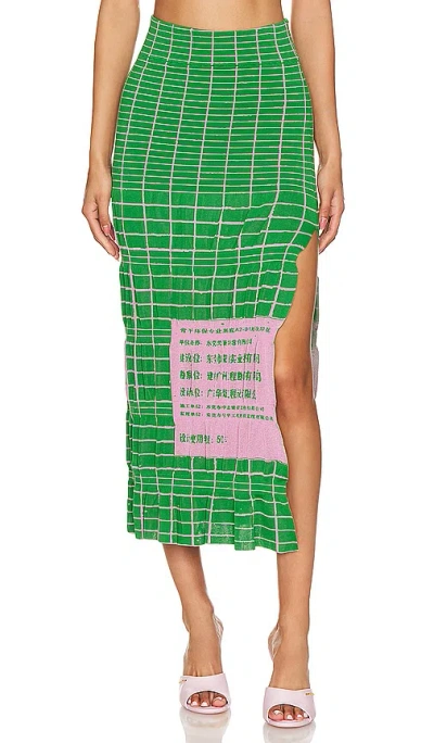 Ph5 Daru Skirt In Nile Green