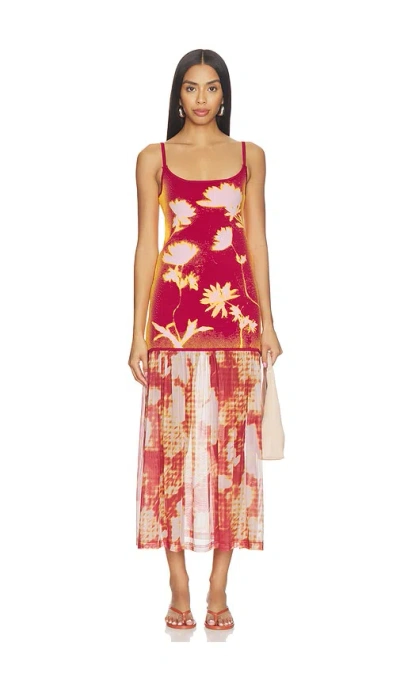 Ph5 Ginger Flower Print Tank Dress In Multi