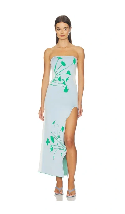 Ph5 Iris Flower Print Maxi Tank Dress In Aqua Green