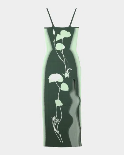 Ph5 Iris Flower-print Maxi Tank Dress In Green
