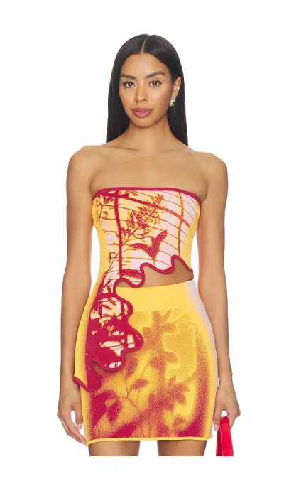 Ph5 Pomelo Wavy Bra Top In Animal Print