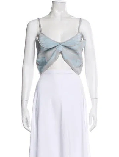 Pre-owned Ph5 Printed V-neck Crop Top In Blue