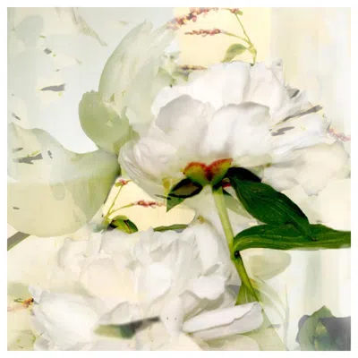 Pre-owned Phaidon Sherrie Hunt Poetry Of Petals #4, Limited Edition Print In Sand