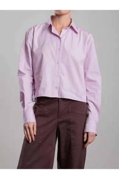 Pharaoh Enzo Japanese Stripe Shirt In Lilac In Pink