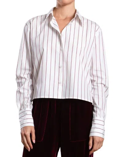 Pharaoh Enzo Long Sleeve Shirt In Burgundy Stripe In White