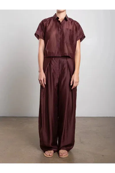 Pharaoh Katia Wide-leg Pant In Chocolate In Transparent