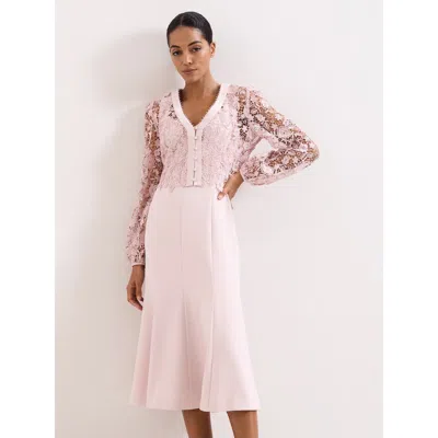 Phase Eight Ayumi Part Lace Midi Dress In Pink