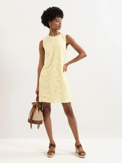 Phase Eight Bryony Sleeveless Lace Mini Dress In Neutral
