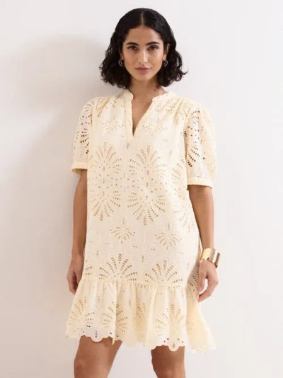 Phase Eight Liliana Embroidered Mini Dress In Brown
