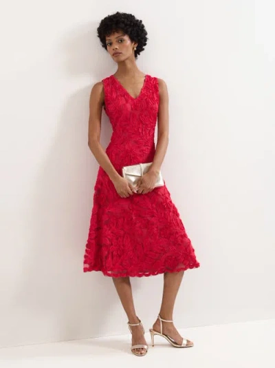 Phase Eight Paloma Embroidered Fit Flare Dress In Burgundy