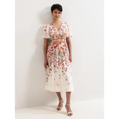 Phase Eight Petite Lovette Dress In White