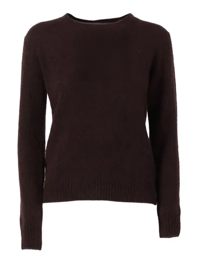 Phi Fdl Girocoll In Brown