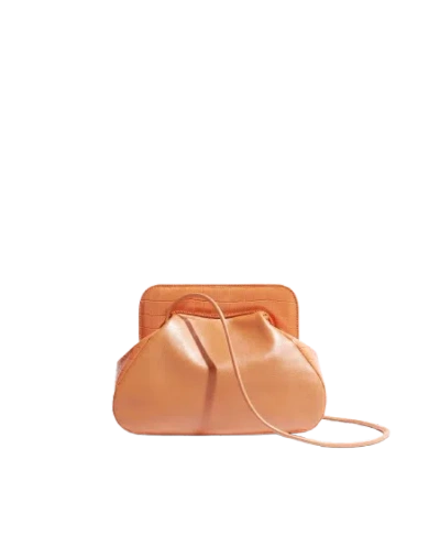 Phialebel Orange Constance