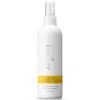 Philip Kingsley Styling Maximizer Root Boosting Spray 250ml