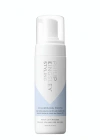 Philip Kingsley Volumising Froth Root Lift Mousse 150ml In N/a