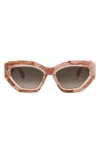 Philipp Plein Cat Eye-frame Acetate Sunglasses In Brown