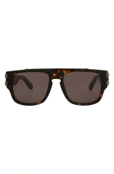 Philipp Plein 55mm Square Sunglasses In Brown