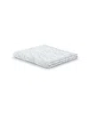 Philipp Plein Bath And Beach Towels Lifestyle In White