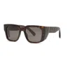 Philipp Plein Havana Acetate Sunglasses