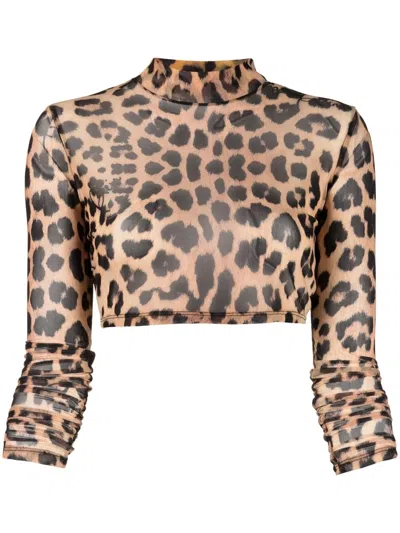 Philipp Plein Leopard-print Cropped Top In Brown