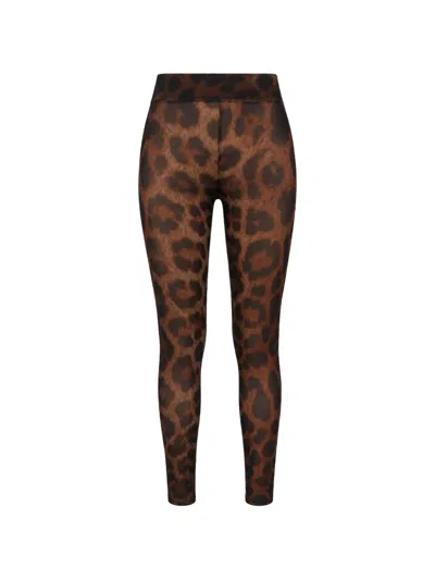 Philipp Plein Leopard-print Tulle Leggings In Brown