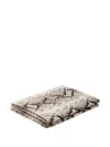 Philipp Plein Snake-print Pillowcase (set Of Two) In Neutral