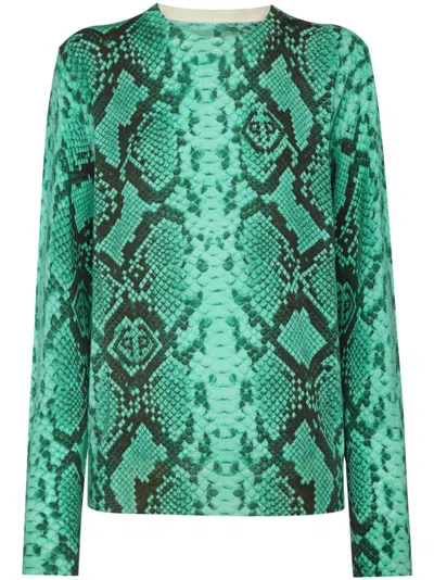 Philipp Plein Snakeskin-print Cashmere Top In 绿色