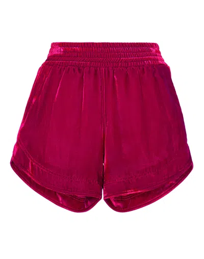 Philipp Plein Velvet Hot Pants In Pink