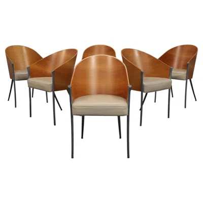 Pre-owned Philippe Starck Set Of 6 King Costes Chairs By  For Driade, Italy, 1990s In Brown