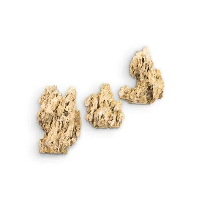 Phillips Collection 3 Piece Stalagmite Wall Décor Set In Brass