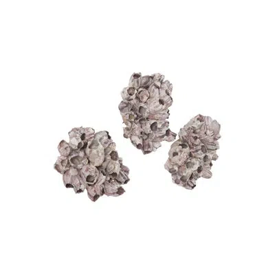 Phillips Collection Barnacle 3 Piece Wall Décor Set In Brown;purple